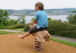 Federwippe Katze der Firma Rudolf Spielplatz, Spielplatzbauer, Spielplatzhersteller, Spielplatzgeräte, Schweiz